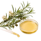 Aceite de árbol de té